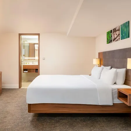 Hilton Garden Old Town 4*